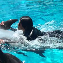 背泳ぎしたイルカにつかまって泳げるよ！