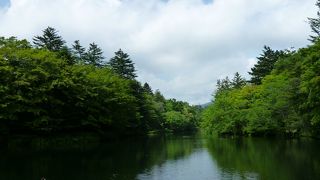 木のおもちゃがたくさん！！