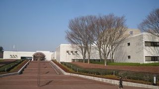 佐倉で全国規模でも大きな規模の博物館です。