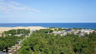 鳥取砂丘に行くバスで、一つ手前のバス停です