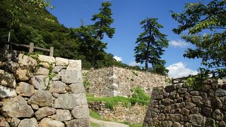 一角に立つ大きな松の木で十分にかつての威容を想像することができました。