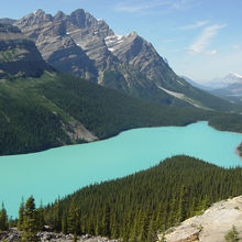 絵の具みたいです