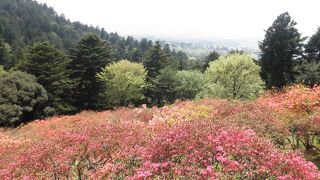 おいなりさんが名物