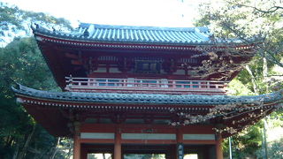 五百羅漢は飽きずに楽しめる