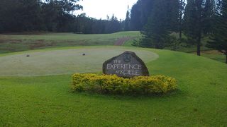 ジ エクスペリエンス アットコエレ