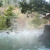 日本三大美肌の湯”の嬉野温泉にあって、地元でもそれなりに有名