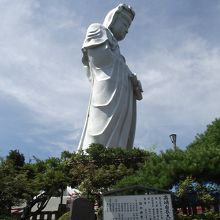 横姿もまた美しい一つでしょう