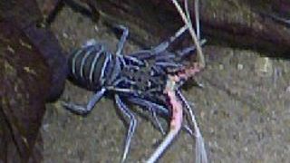 魚やイルカとの距離の近い水族館