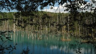 神秘的な体験。