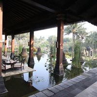 庭には入り口横からも入れます