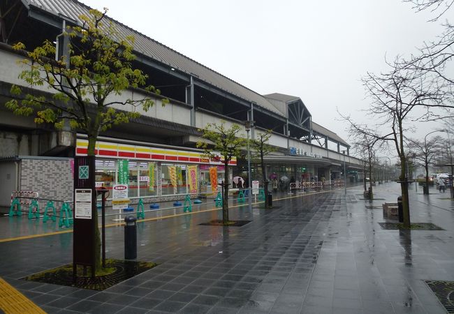 花園駅(京都府) --- 「山陰本線」にある駅です。近くには有名な寺院も。