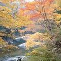 紅葉の時期には素晴らしい景色が見られる三段峡の温泉宿