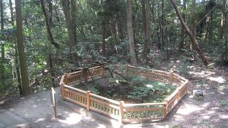 岩国城の大井戸