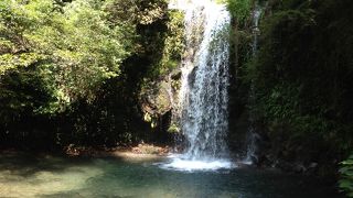 水のきれいさが素晴らしい！