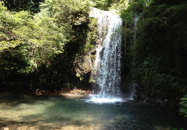 水のきれいさが素晴らしい！