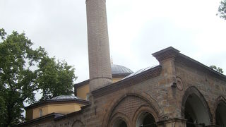 小さなジャーミーです。