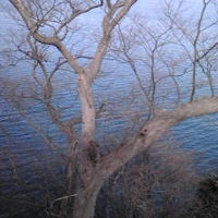 ホテルの窓からの景色