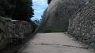 松山市内が一望できます