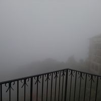 次の日の朝には、こんなことになってました〜