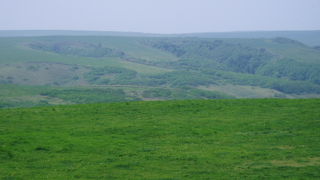 北海道らしい景色