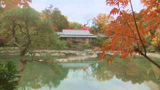 自然の森を残しつつも小規模な動物園と遊園地がある市民公園