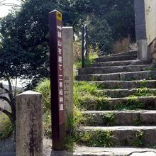 滝山城址で続く二本松林道 