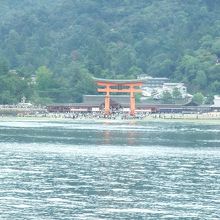 フェリーから見た厳島神社