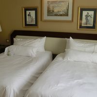 Deluxe Room Twin Bed。