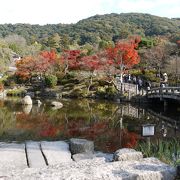 春は桜、秋は紅葉。八坂神社と知恩院に隣接