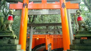 どこまでも続く朱の鳥居