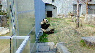 パンダも見られる楽しい動物園!!