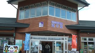 水鳥の見れる立地！