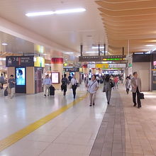 どこを歩いているのかよく解りません・・・