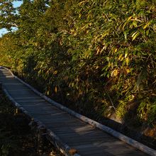 こんな感じの通路になっています。軽装でOK!