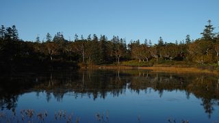 手軽に行ける沼