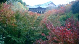 ぜひ紅葉の季節に