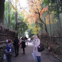 ついでに、紅葉もきれいなところで。