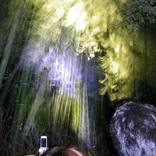 頭が写っちゃうくらい人多かったんです〜〜涙