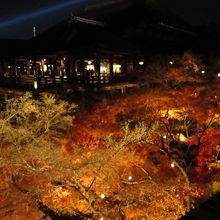 ぼやぼやですが、気分だけ・・・