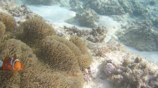 美しい！この一語に尽きます。