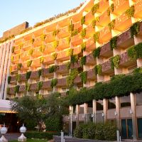 ザ・マンモスホテル。