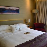 清潔感のある新しいお部屋。窓も大きくて開放的。