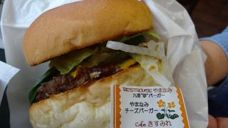 おっきなハンバーガー
