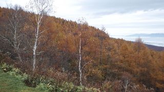 標高2000mからの絶景