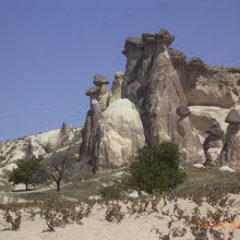 人が生活をできますか。