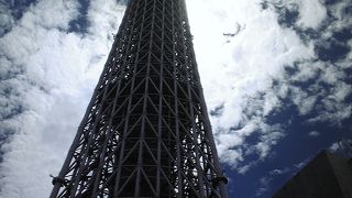 真下からの迫力大