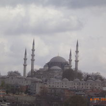 美しい姿です。