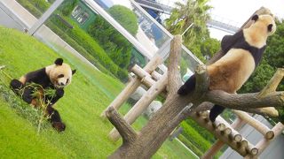 家族で１日楽しめます。