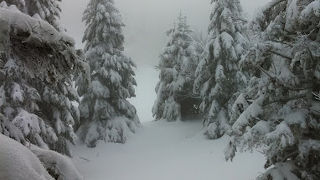 風が強いので防寒対策をしっかり