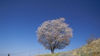 大子ふれあい牧場